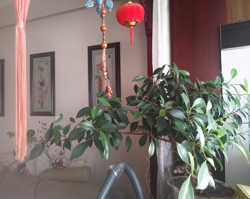 SHANGHAI OFFICE INDOOR
